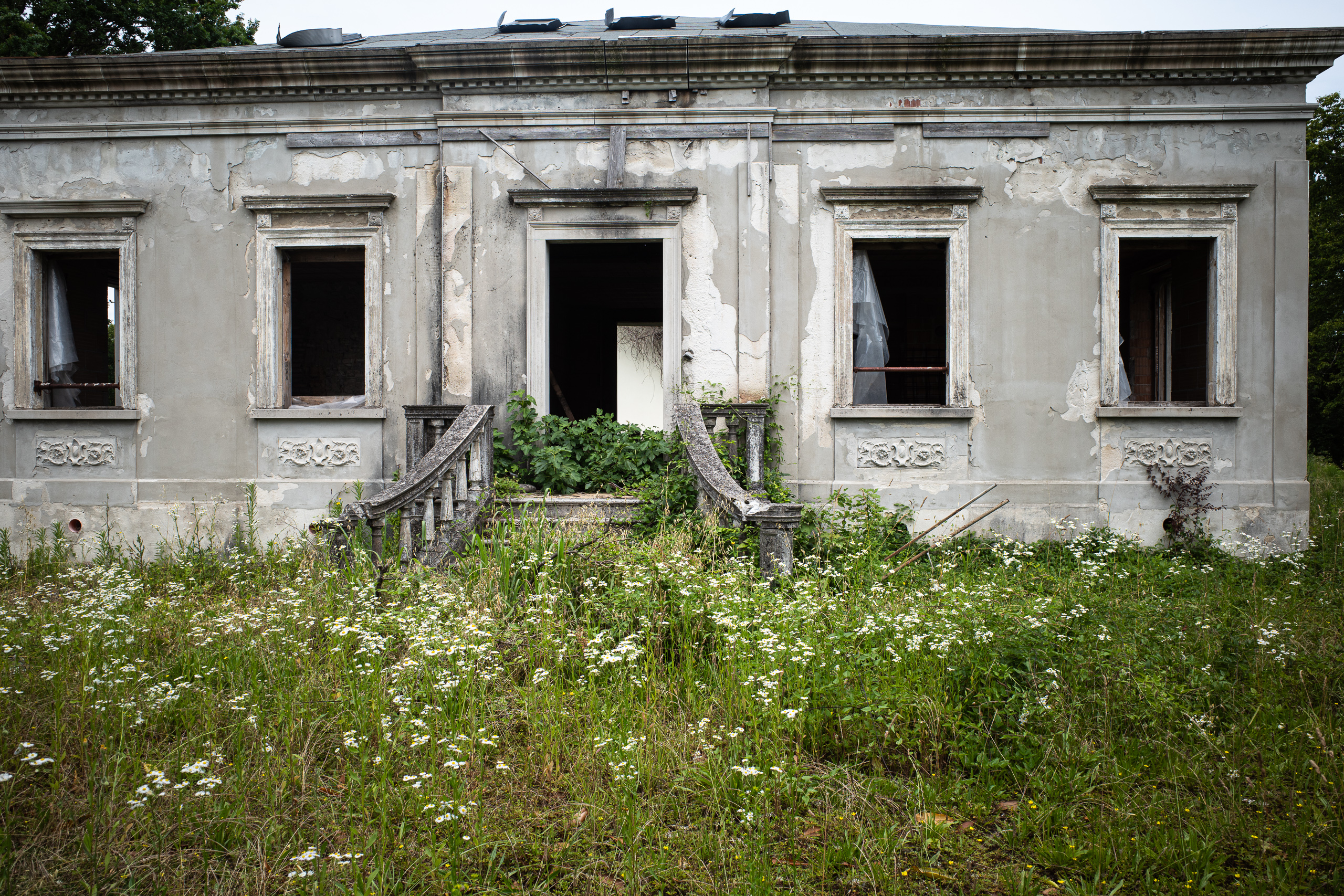 Verlassene Villa hinter Margeriten – die Freitreppe führt ins Leere